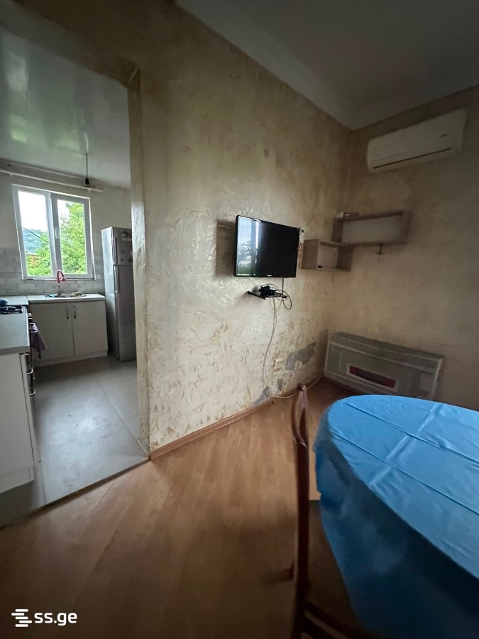 3 Room Private House Daily Rent. Batumi view 11