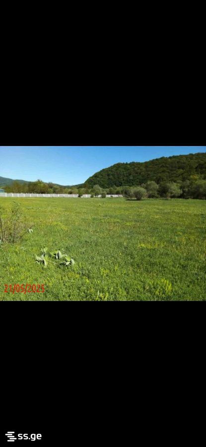 Продажа Земля в тианети view 1
