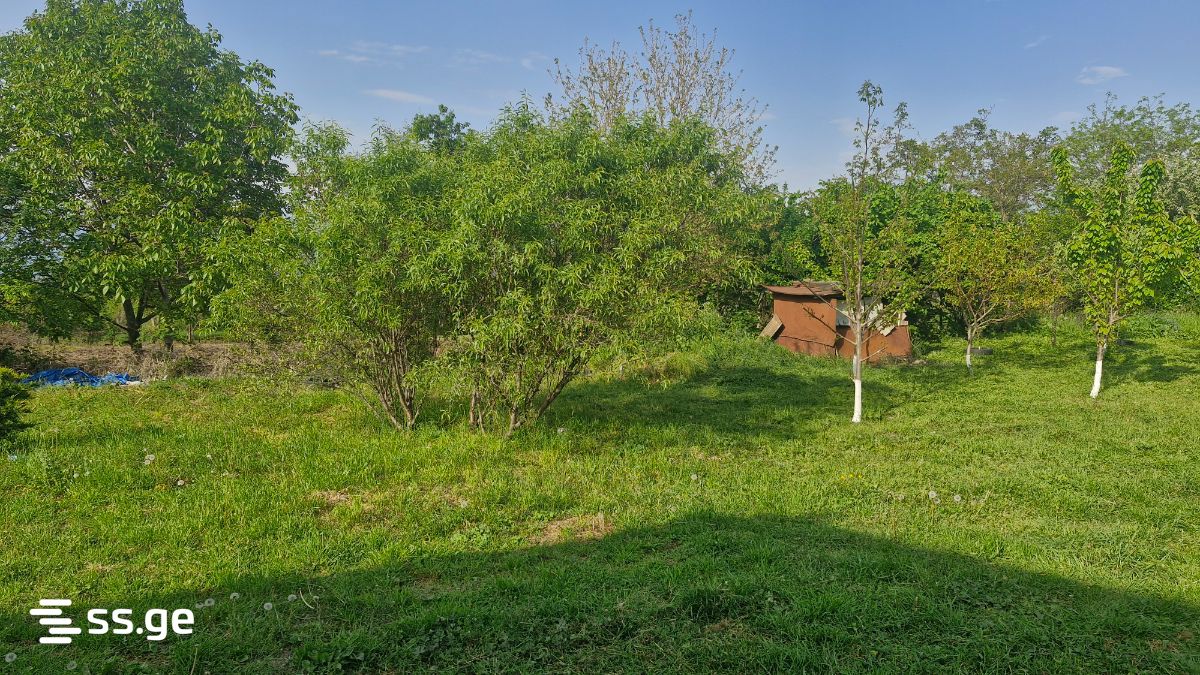 Summer Cottage For Sale. Telavi view 6