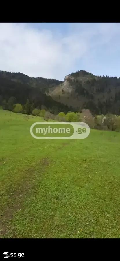 Продажа Земля в Боржоми view 1