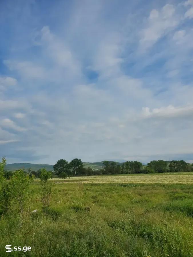 Land For Sale. Bazaleti view 4