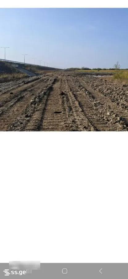 Land For Sale. Grigoleti view 2
