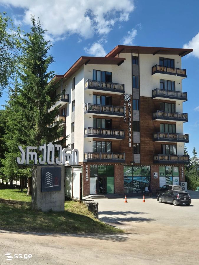 1 Room Flat Daily Rent. Bakuriani, 1 of 12