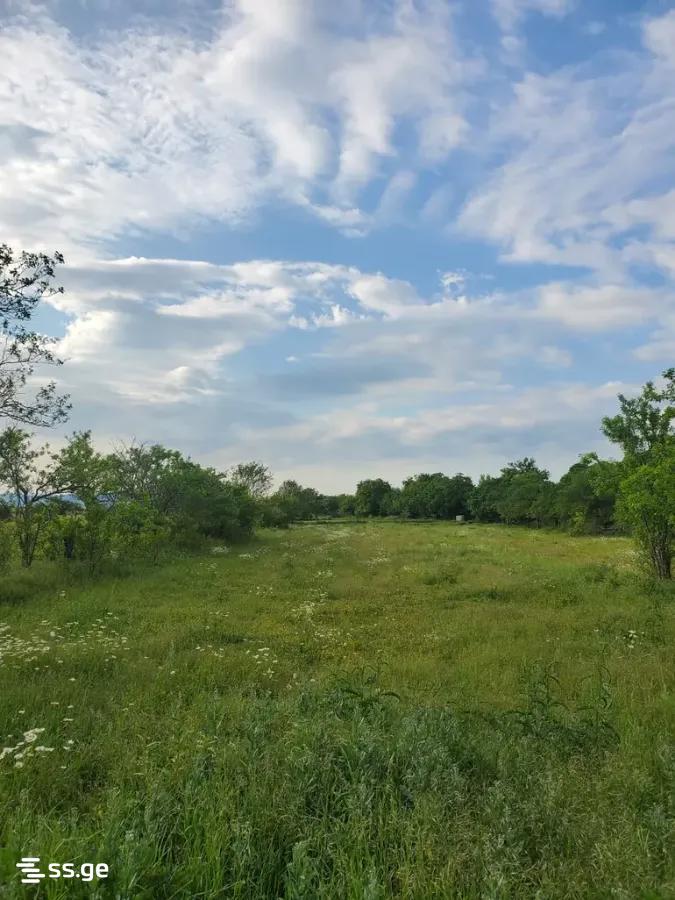 Land For Sale. Bazaleti view 8
