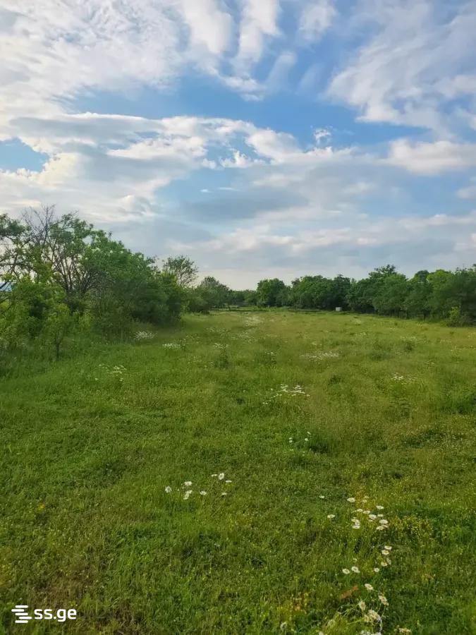 Land For Sale. Bazaleti view 3