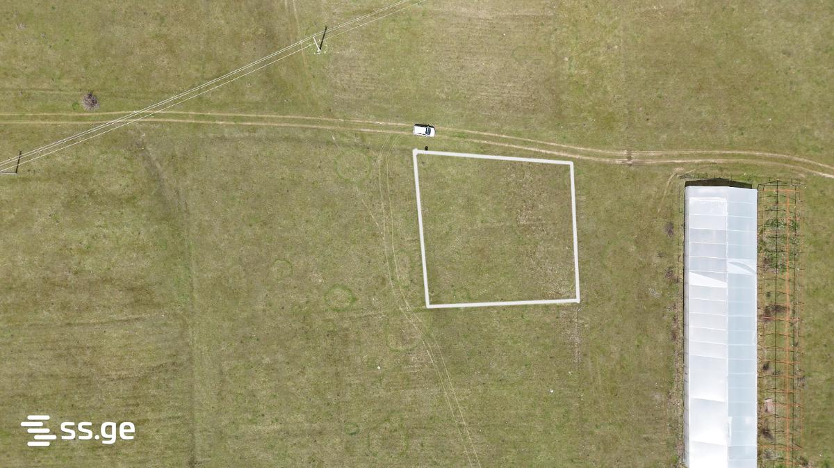 Land For Sale. Tianeti view 5
