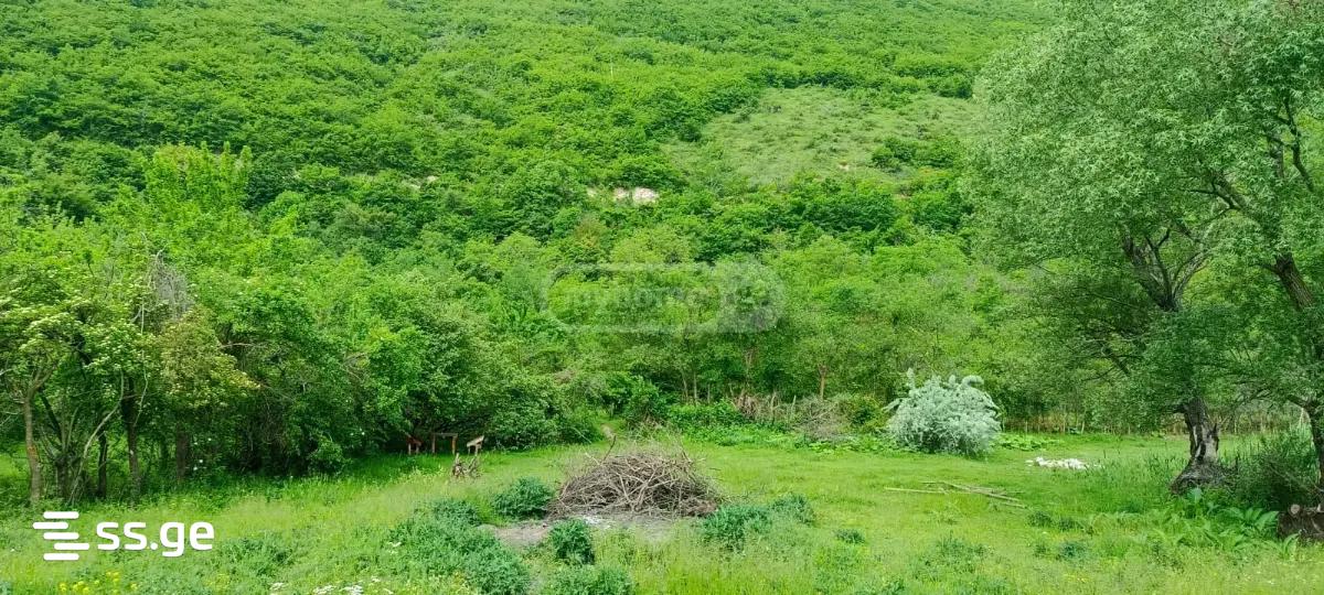 Land For Sale. Kaspi view 6