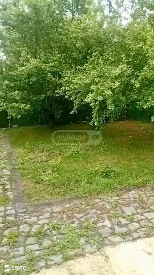 3 Room Private House For Rent. Digomi view 9