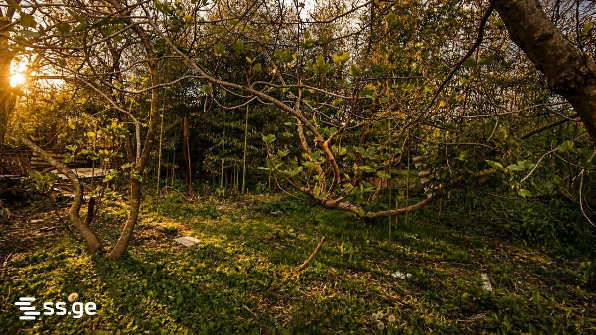 6 Room Summer Cottage For Sale view 4