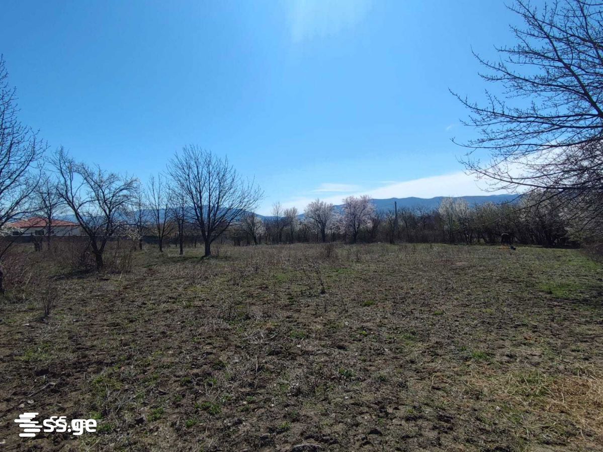 Land For Sale. Tsilkani view 8