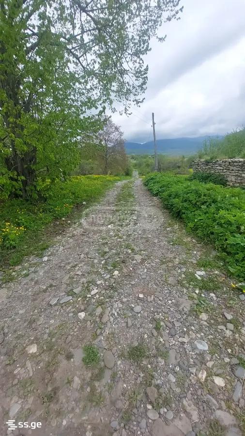 Продажа Земля в тианети view 3