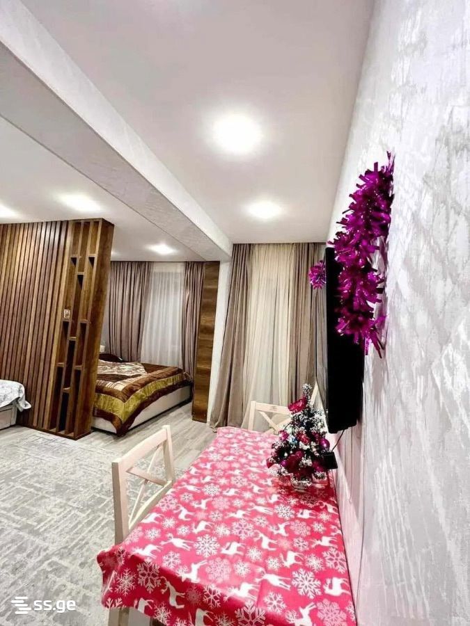 1 Room Flat For Sale view 2