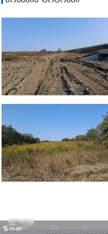Land For Sale. Grigoleti view 1