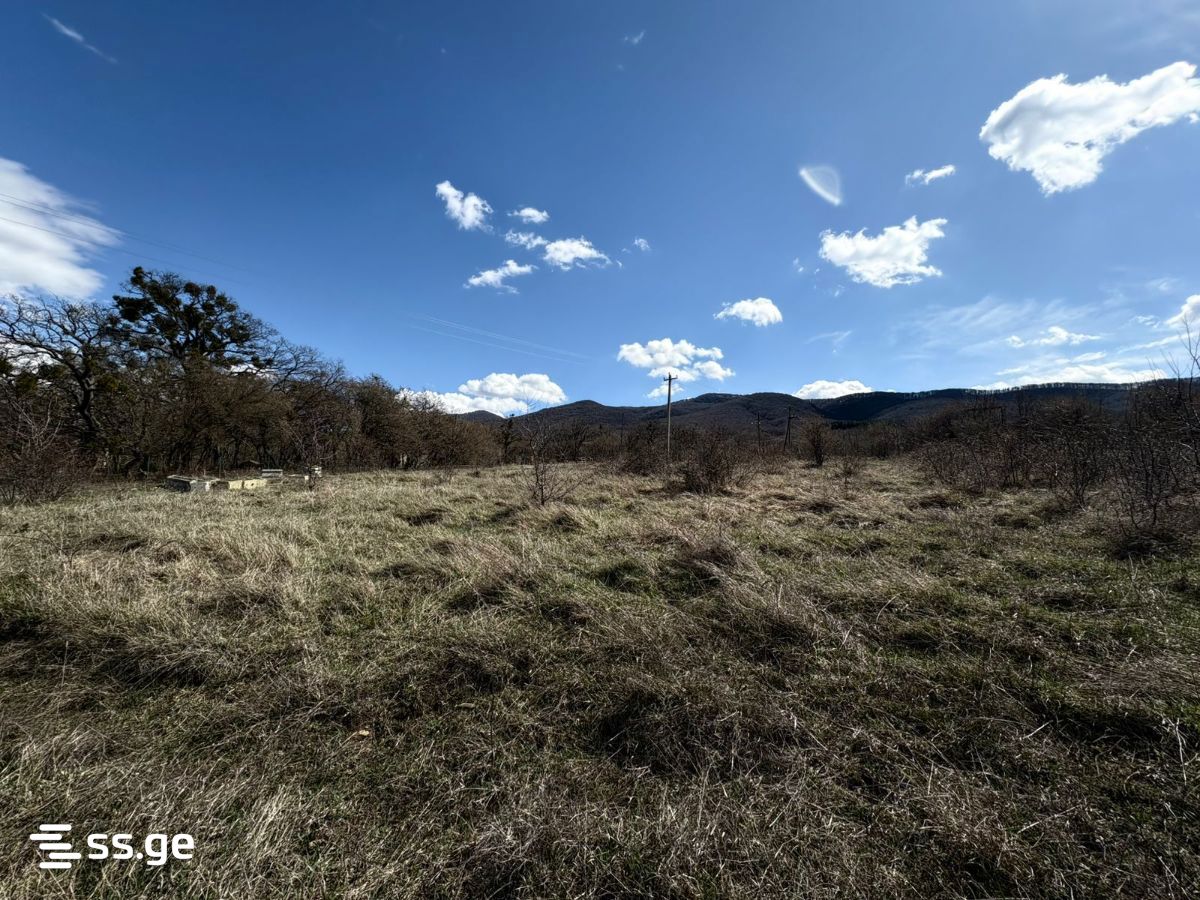 Land For Sale. Navdaraantkari view 4