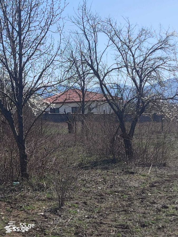 Land For Sale. Tsilkani view 9