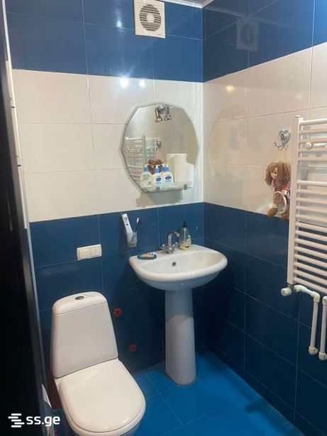 2 Room Flat For Rent. Rustavi view 4