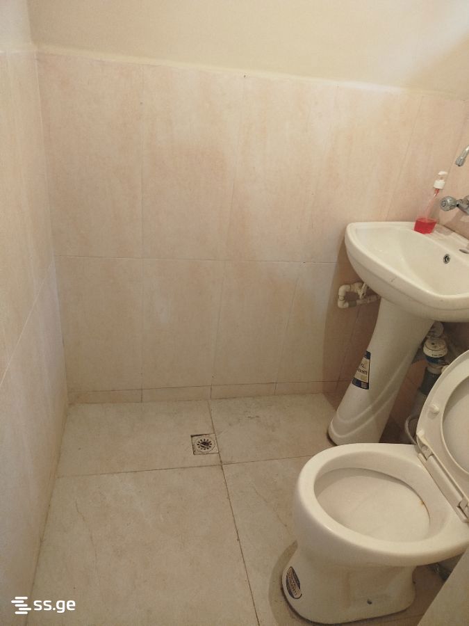 Commercial Space For Rent. Kutaisi view 3