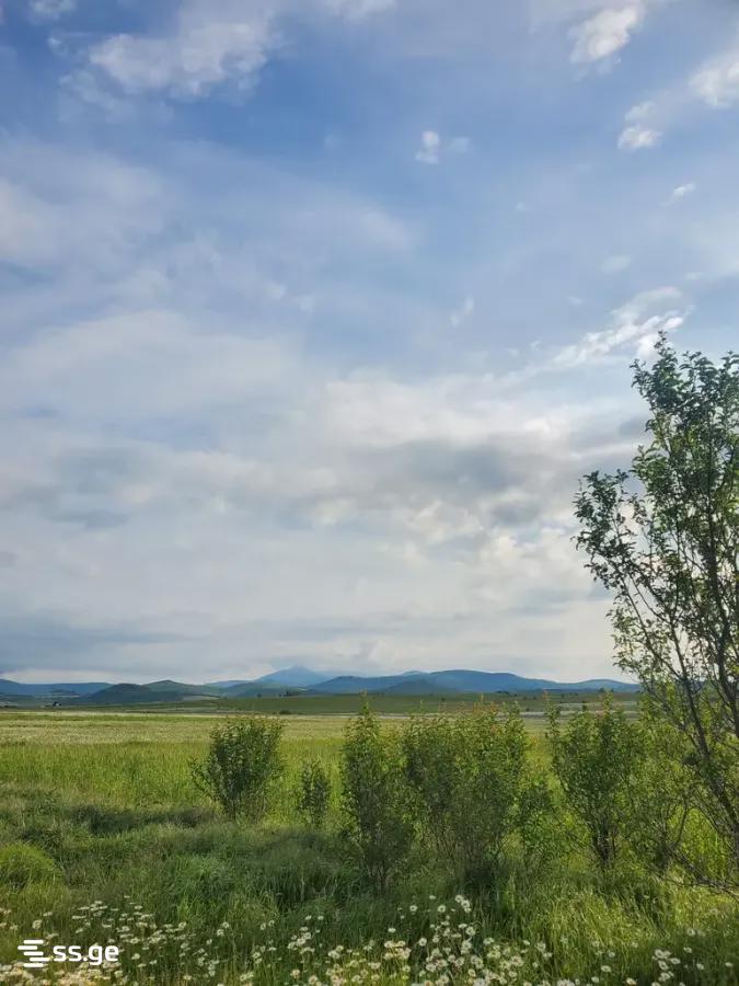 Land For Sale. Bazaleti view 7