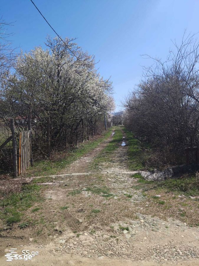 Land For Sale. Tsilkani view 3
