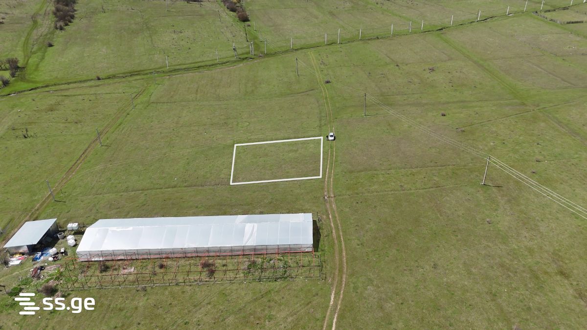 Land For Sale. Tianeti view 3