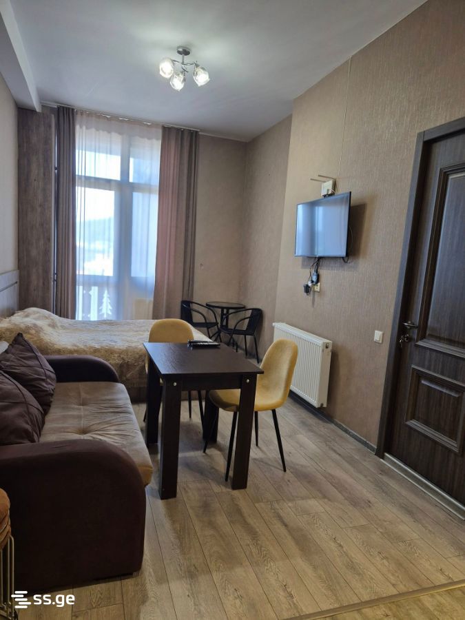 1 Room Flat Daily Rent. Bakuriani, 7 of 12