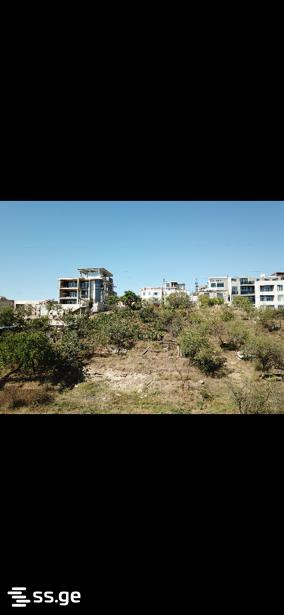 Land For Sale. Saburtalo view 7