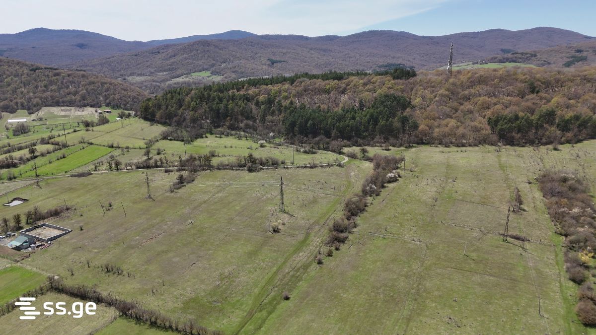 Land For Sale. Tianeti view 2