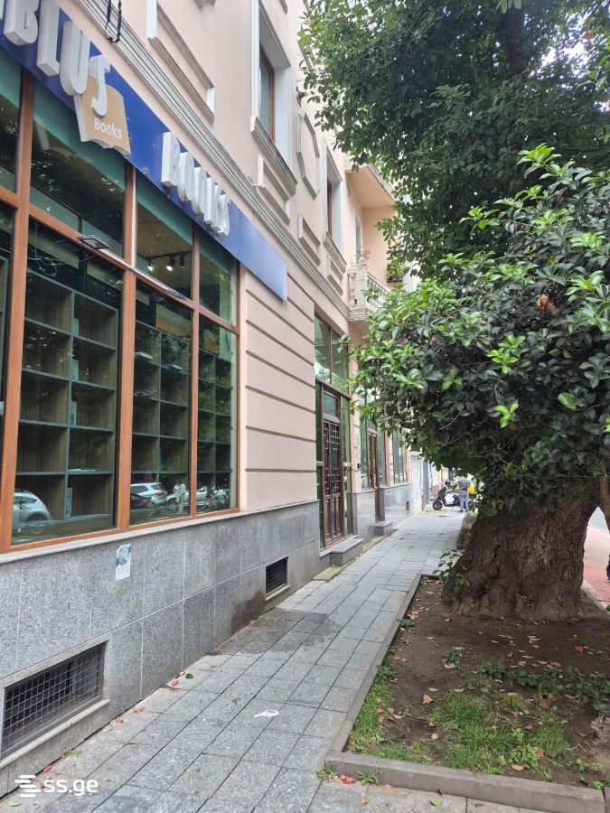 Commercial Space For Sale. Batumi view 5