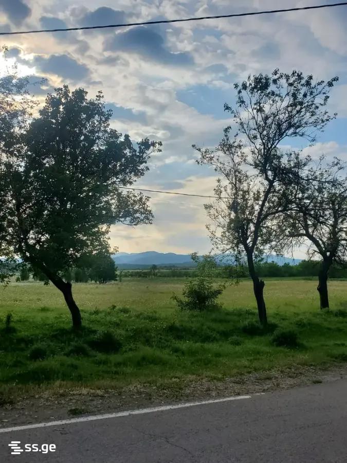Land For Sale. Bazaleti view 6