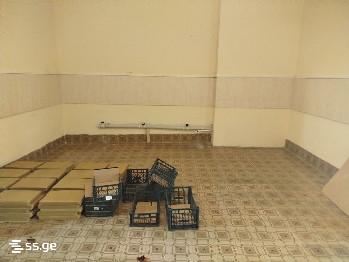 Commercial Space For Rent. Kutaisi view 7