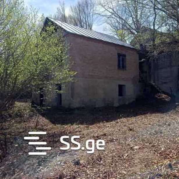 https://static.ss.ge/20260708/0_9510d3b1-ecb0-4cf8-95ce-3bf9d6a9a10f_Thumb.jpg