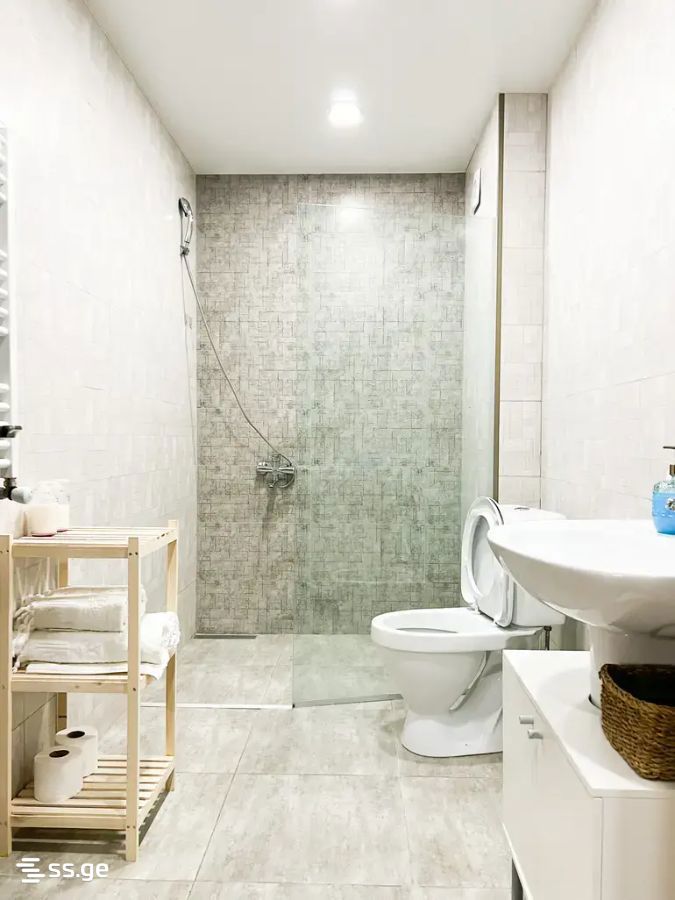 2 Room Flat For Rent. Gudauri view 10
