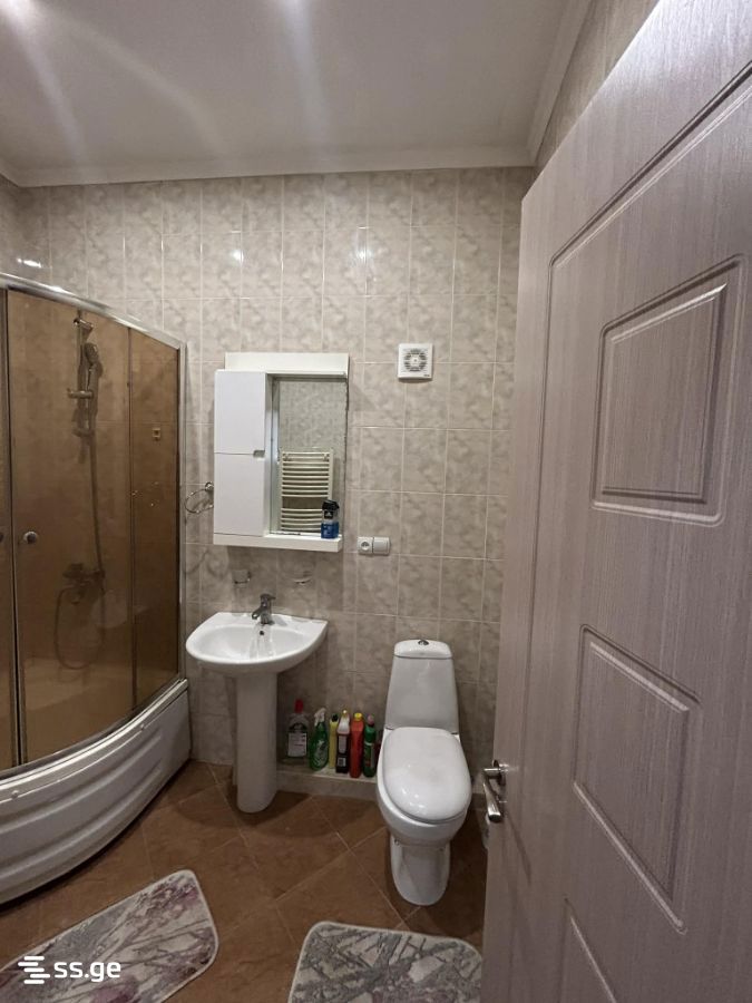 3 Room Flat For Rent. Mtskheta view 9