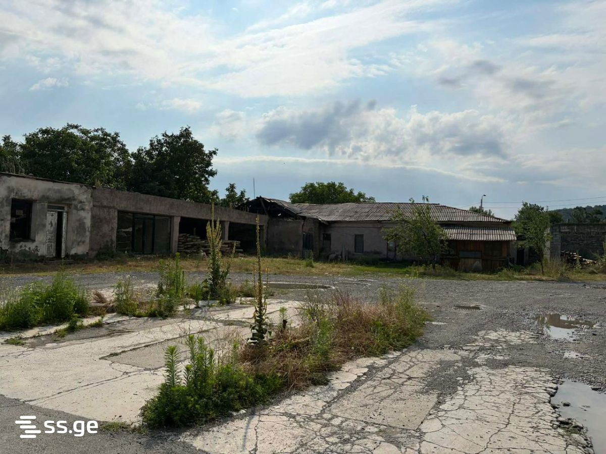 Commercial Space For Sale. Telavi, 2 of 4