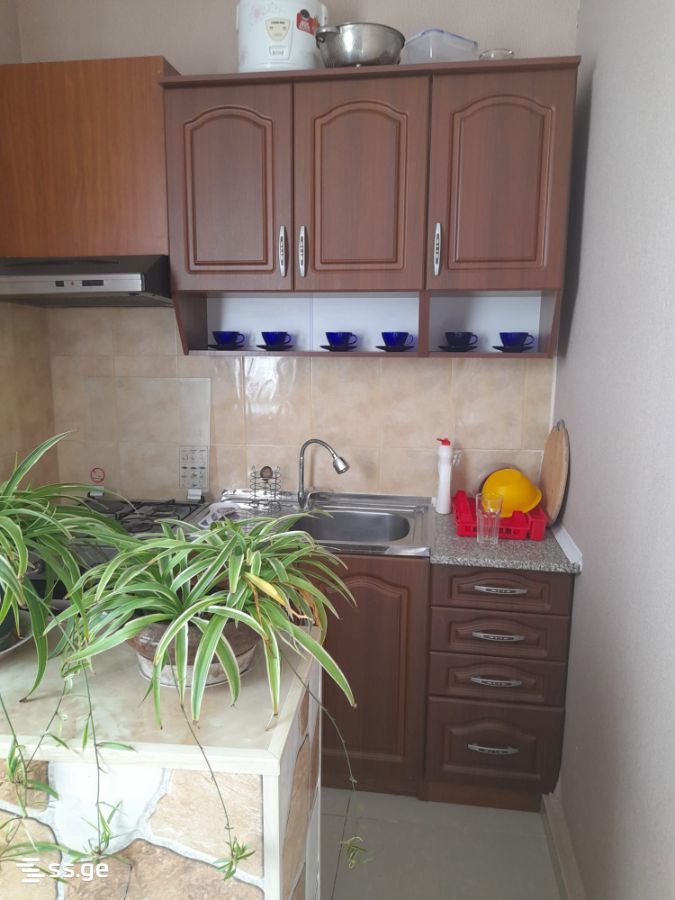 5 Room Private House For Rent. Mtskheta view 3