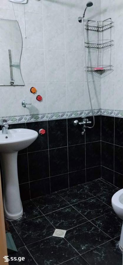 2 Room Flat For Rent. Kutaisi view 8