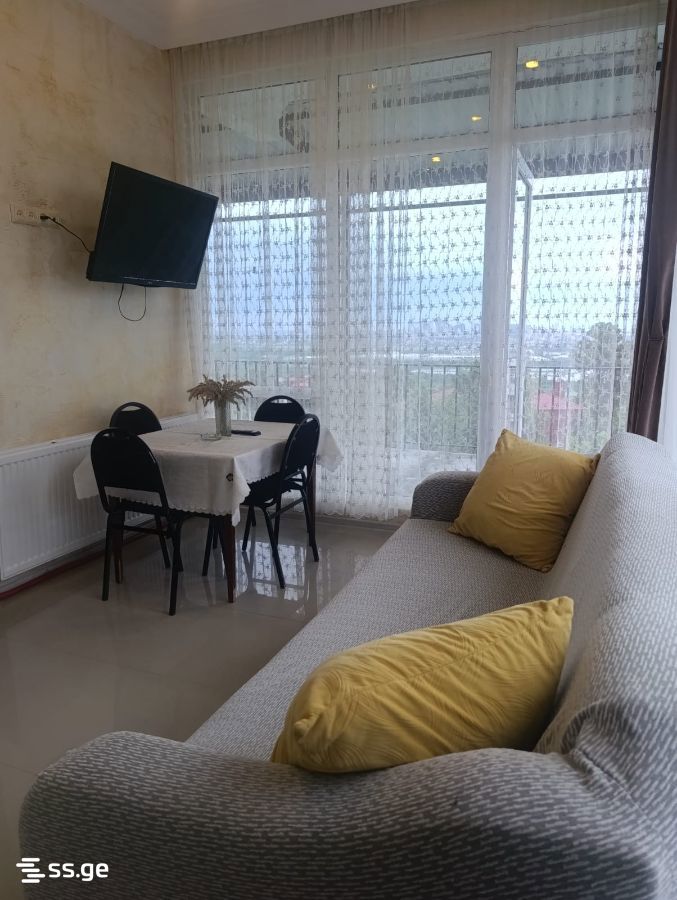 3 Room Private House For Rent. Akhalsopeli view 1