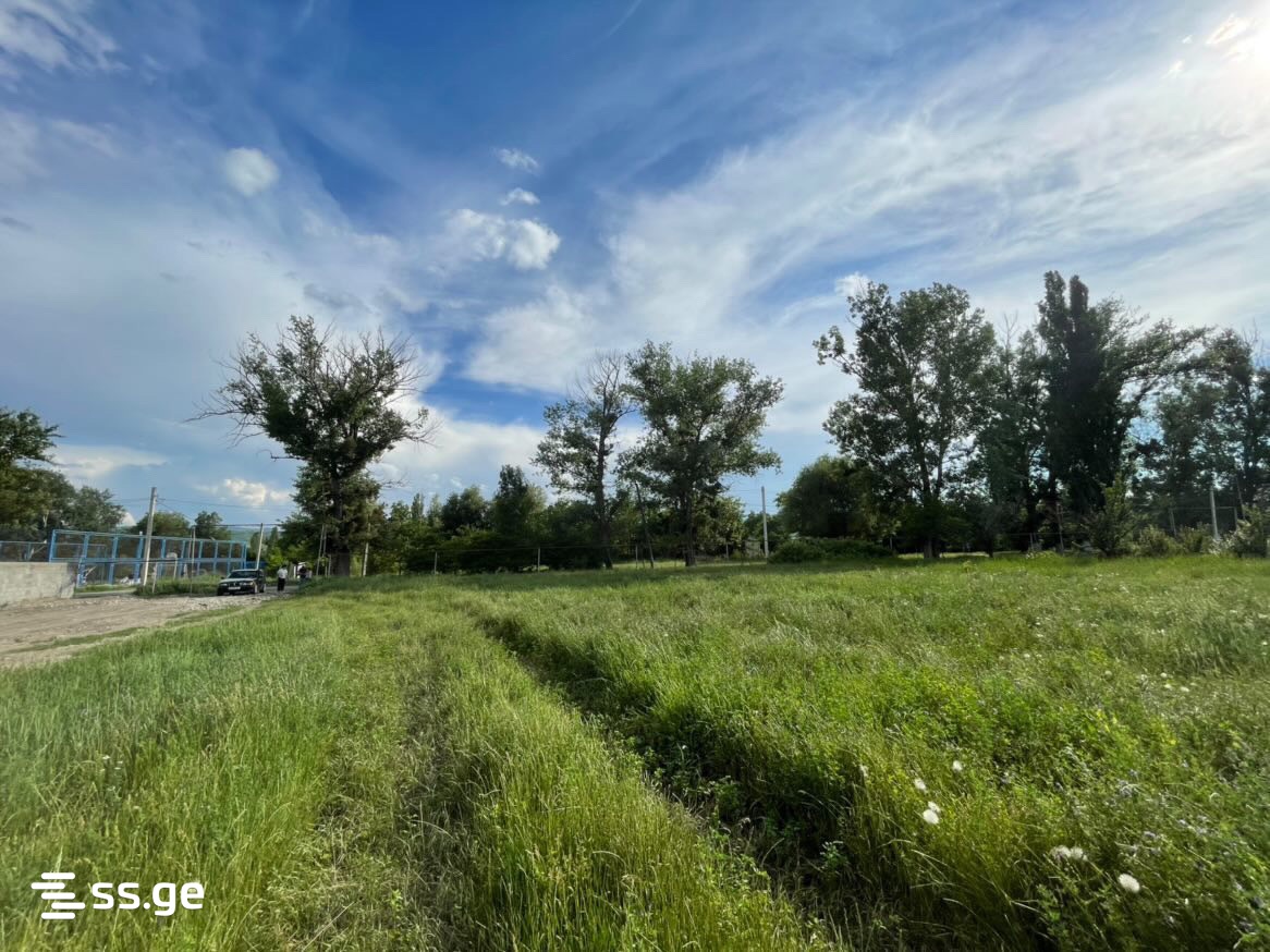 Land For Sale. Mukhrani view 5