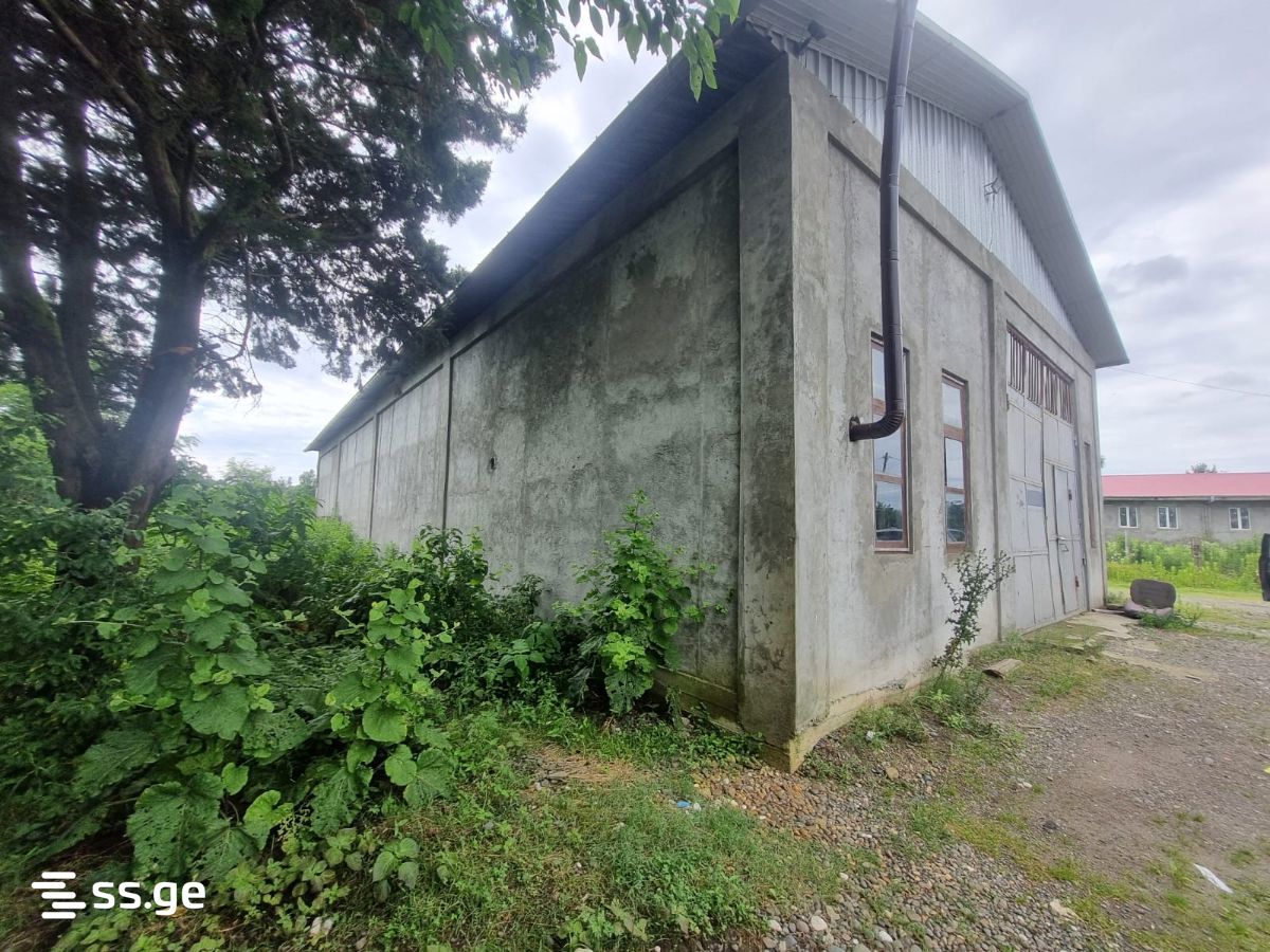 Store-Industrial Property For Sale. Poti view 6