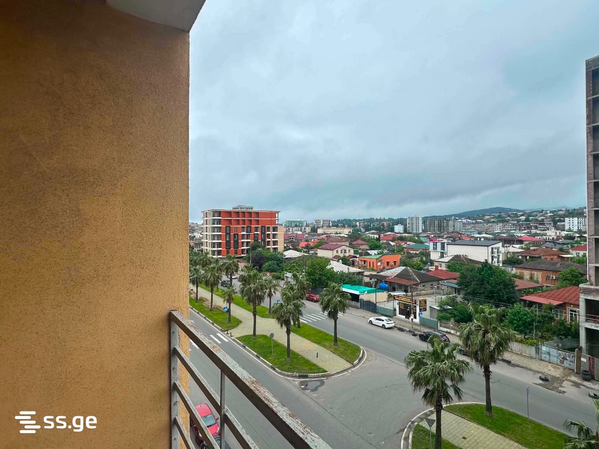 2 Room Flat Daily Rent. Kutaisi view 3
