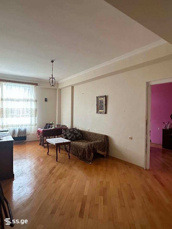 2 Room Flat Daily Rent. Kutaisi view 1