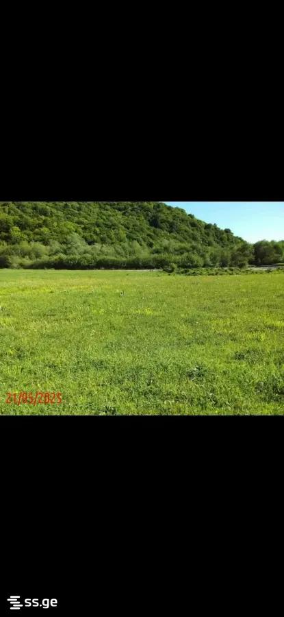 Land For Sale. Tianeti view 3
