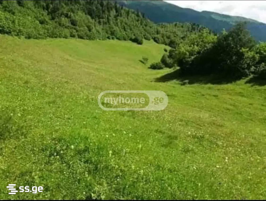 Продажа Земля в местиа view 3