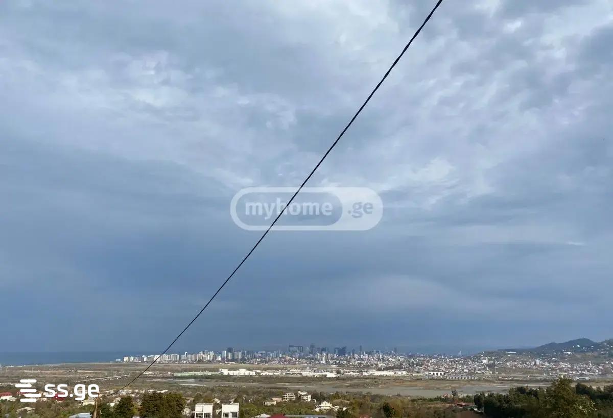 იყიდება მიწა გონიოში view 5