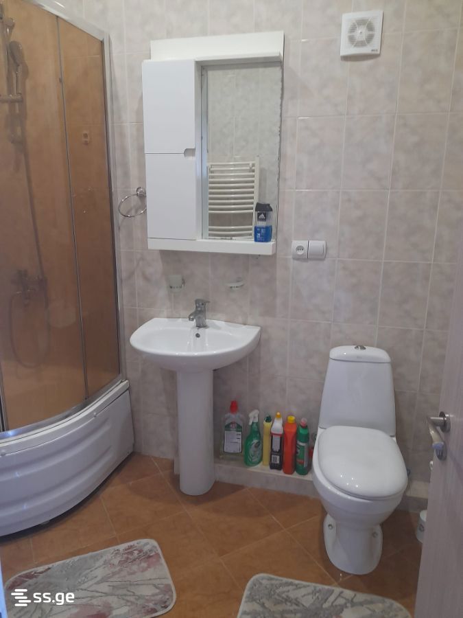 5 Room Private House For Rent. Mtskheta view 5