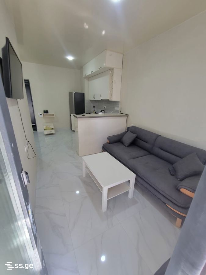 2 room Flat Daily rent. Didi digomi - Ansicht 2