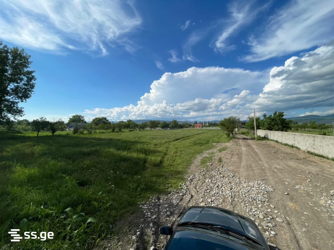 Land For Sale. Mukhrani view 2