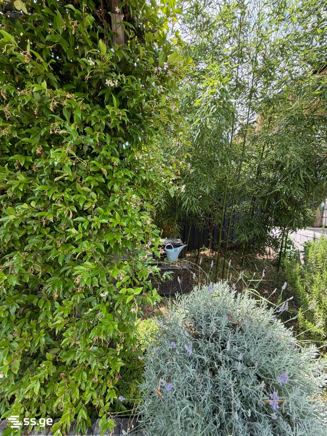 3 Room Private House For Sale view 5
