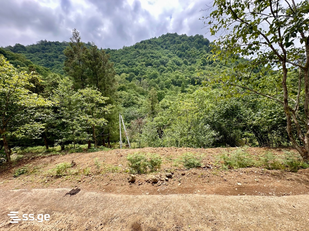 Land For Sale. Chaqvi view 8