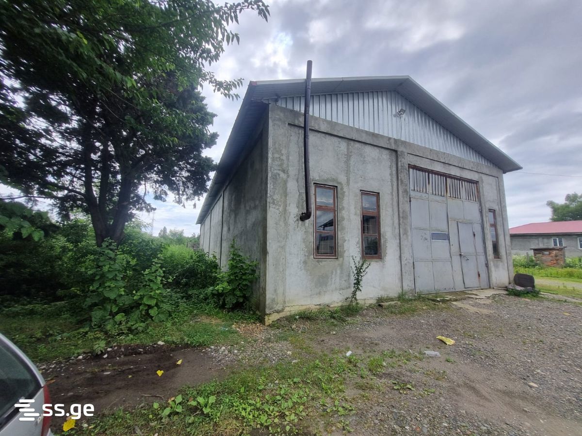 Store-Industrial Property For Sale. Poti view 7